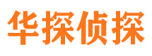 温泉侦探公司